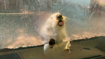 株式会社Gに投稿された画像（2020/11/13）