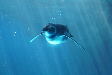 株式会社Gに投稿された画像（2020/11/13）