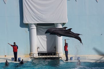 株式会社Gに投稿された画像（2020/11/13）