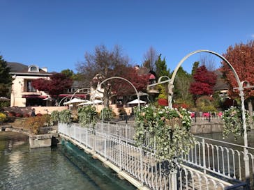 河口湖 音楽と森の美術館に投稿された画像（2020/11/13）