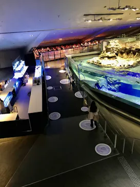 すみだ水族館に投稿された画像（2020/11/13）