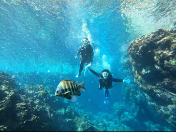 diving&workshop IHANASHI（ダイビングアンドワークショップイハナシ）に投稿された画像（2020/11/13）