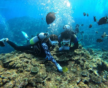 diving&workshop IHANASHI（ダイビングアンドワークショップイハナシ）に投稿された画像（2020/11/13）