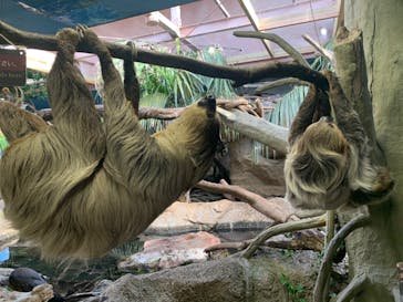 那須どうぶつ王国に投稿された画像（2020/11/13）