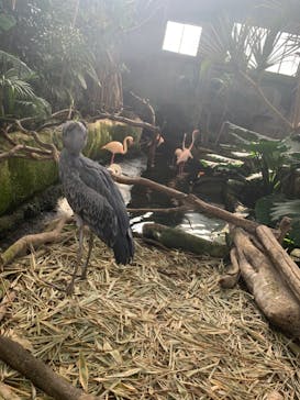 那須どうぶつ王国に投稿された画像（2020/11/13）