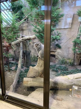 那須どうぶつ王国に投稿された画像（2020/11/13）