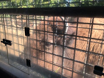 群馬サファリパークに投稿された画像（2020/11/13）