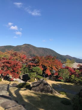 箱根美術館に投稿された画像（2020/11/13）