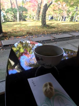 箱根美術館に投稿された画像（2020/11/13）