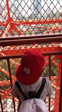 東京タワーに投稿された画像（2020/11/13）