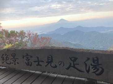 伊豆パノラマパークに投稿された画像（2020/11/13）