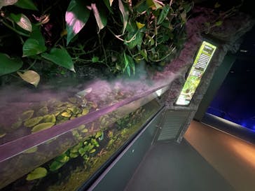 サンシャイン水族館に投稿された画像（2020/11/13）