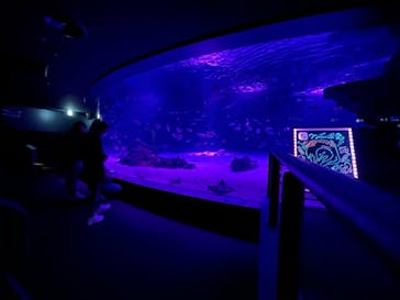 サンシャイン水族館に投稿された画像（2020/11/13）