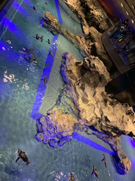 すみだ水族館に投稿された画像（2020/11/13）