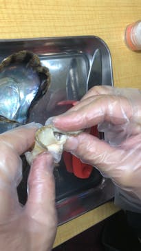 三重県真珠に投稿された画像（2020/11/13）