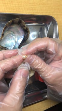 三重県真珠に投稿された画像（2020/11/13）