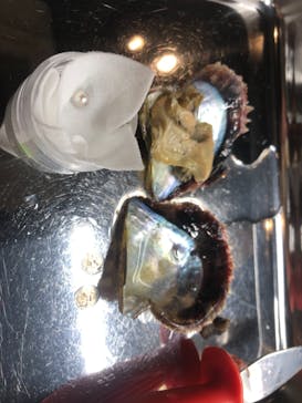 三重県真珠に投稿された画像（2020/11/13）