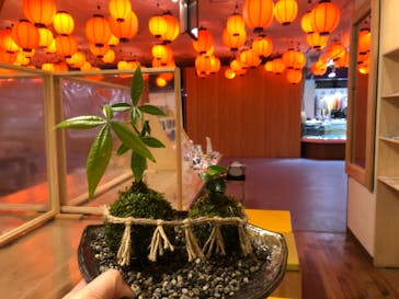 伊勢夫婦岩めおと横丁　めおと岩アクティビティに投稿された画像（2020/11/13）