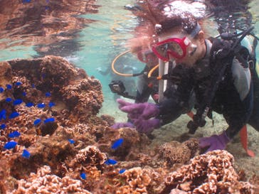 沖縄ダイビングショップシーモールに投稿された画像（2020/11/14）