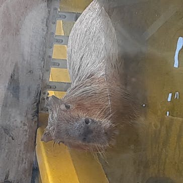 株式会社Gに投稿された画像（2020/11/14）