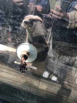 横浜・八景島シーパラダイスに投稿された画像（2020/11/14）