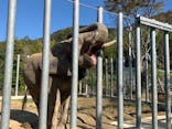 しろとり動物園に投稿された画像（2020/11/14）