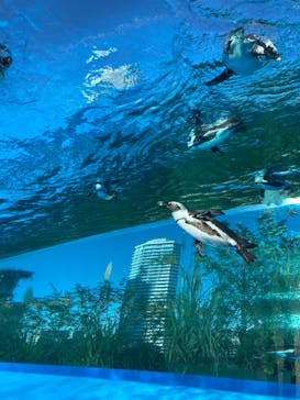 サンシャイン水族館に投稿された画像（2020/11/14）