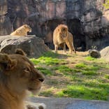 天王寺動物園に投稿された画像（2020/11/14）