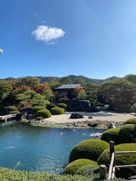 足立美術館に投稿された画像（2020/11/14）