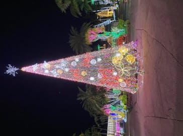 美らヤシパークオキナワ・東南植物楽園に投稿された画像（2020/11/13）