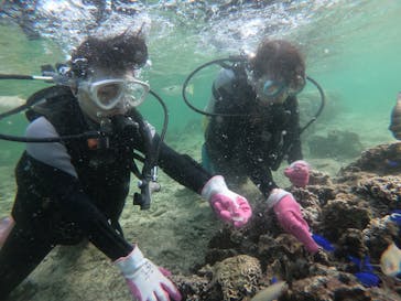 武藤潜水に投稿された画像（2020/11/14）
