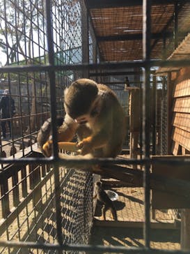 しろとり動物園に投稿された画像（2020/11/14）