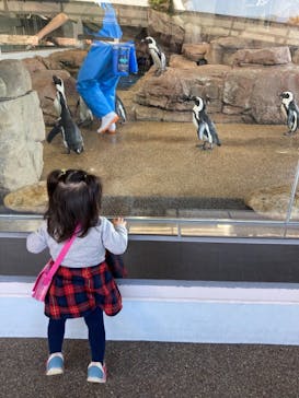 京都水族館に投稿された画像（2020/11/14）