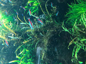 すみだ水族館に投稿された画像（2020/11/14）