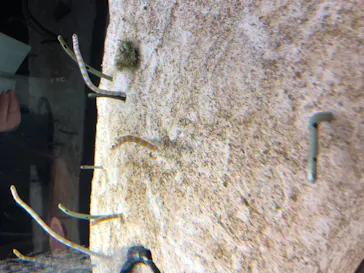 すみだ水族館に投稿された画像（2020/11/14）