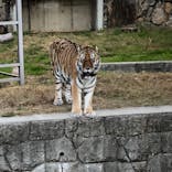 天王寺動物園に投稿された画像（2020/11/14）