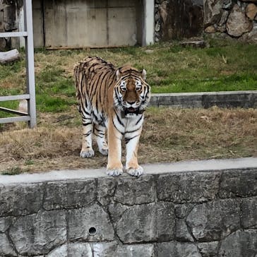 天王寺動物園に投稿された画像（2020/11/14）