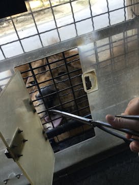 群馬サファリパークに投稿された画像（2020/11/14）