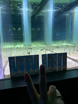 すみだ水族館に投稿された画像（2020/11/14）