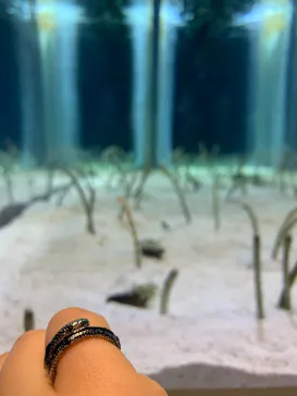 すみだ水族館に投稿された画像（2020/11/14）