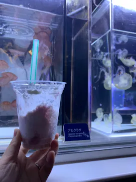 すみだ水族館に投稿された画像（2020/11/14）