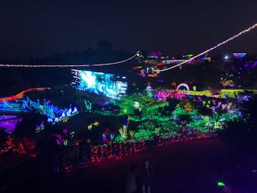 伊豆ぐらんぱる公園に投稿された画像（2020/11/14）