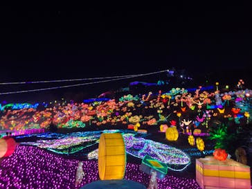 伊豆ぐらんぱる公園に投稿された画像（2020/11/14）