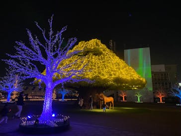 東京メガイルミに投稿された画像（2020/11/14）