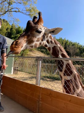 しろとり動物園に投稿された画像（2020/11/14）