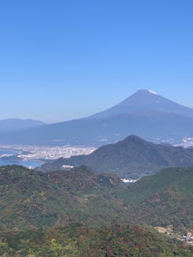 伊豆パノラマパークに投稿された画像（2020/11/14）