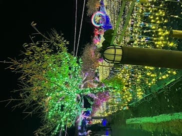 伊豆ぐらんぱる公園に投稿された画像（2020/11/14）