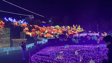 伊豆ぐらんぱる公園に投稿された画像（2020/11/14）