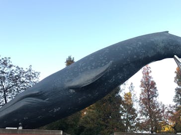 国立科学博物館に投稿された画像（2020/11/14）