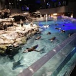 すみだ水族館に投稿された画像（2020/11/14）